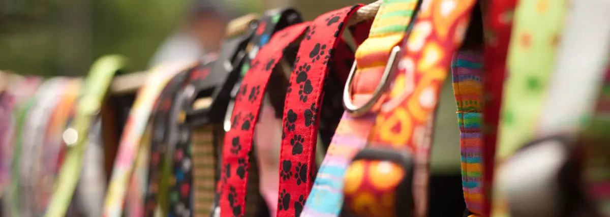 Colliers pour chiens de plusieurs couleurs | PITOU MINOU & COMPAGNONS