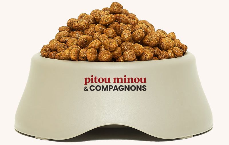 Bol de chien avec nourriture dedans | PITOU MINOU & COMPAGNONS