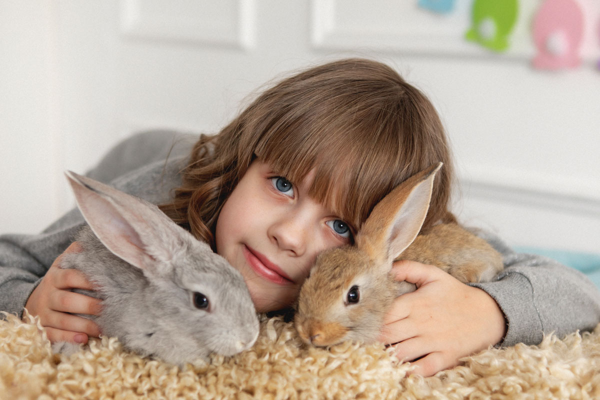 Petit garçon avec ses ses animaux sortis de la cage lapins | PITOU MINOU & COMPAGNONS