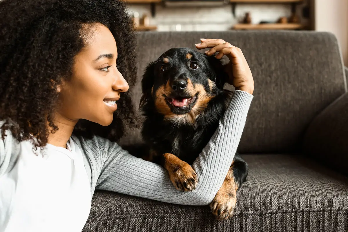 Fille avec son chien après achat de colliers pour chiens | PITOU MINOU & COMPAGNONS