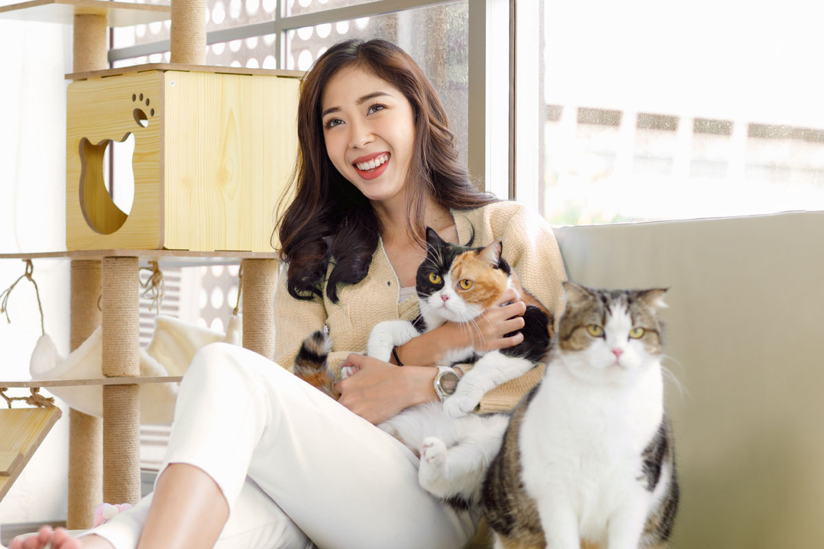 Dame asiatique avec arbre à chat derrière elle | PITOU MINOU & COMPAGNONS