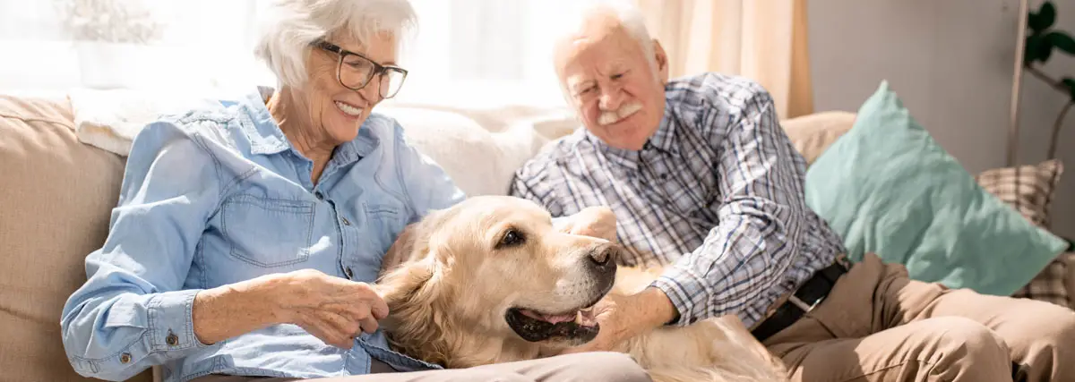 Senior couple who just removed the dog harness after a walk | PITOU MINOU & COMPAGNONS