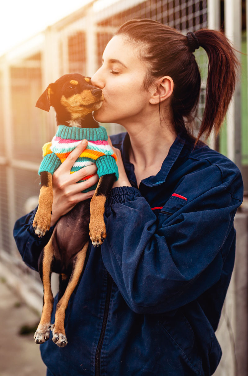 Préposé avec petit chien dans un refuge animal | PITOU MINOU & COMPAGNONS