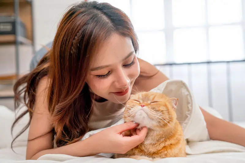 Jeune fille qui vient de donner de la nourriture pour chat à son minou | PITOU MINOU & COMPAGNONS