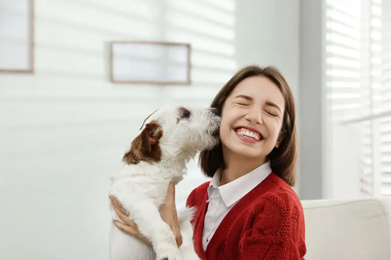 Fille qui se fait licher par son chien parce qu'il veut de la nourriture pour chien | PITOU MINOU & COMPAGNONS