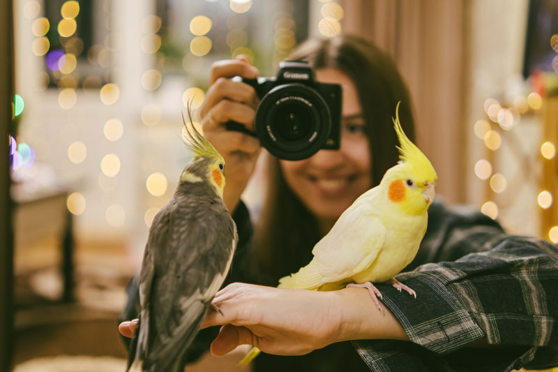 Girl taking a picture of birds | PITOU MINOU & COMPAGNONS