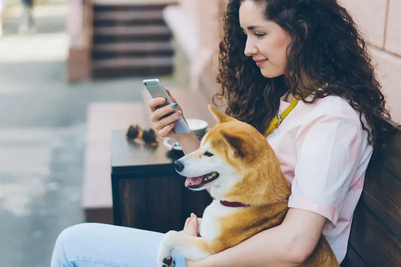 Jeune fille qui magasine un arbre à chat sur son téléphone | PITOU MINOU & COMPAGNONS