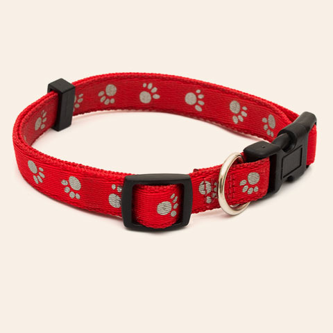 Red dog collar in same colour as kong toys | PITOU MINOU & COMPAGNONS