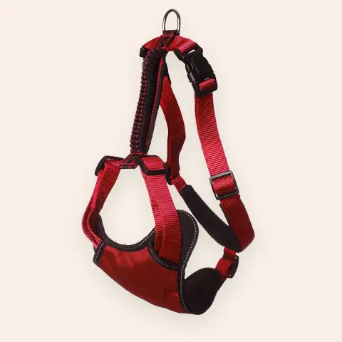 Dog Harness | PITOU MINOU & COMPAGNONS
