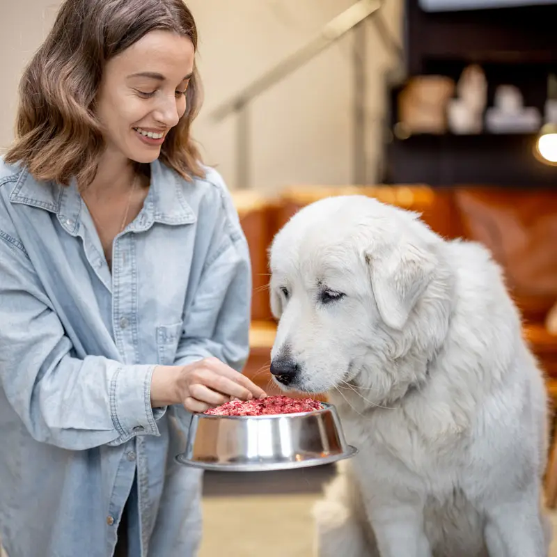 Nourriture crue pour chiens | PITOU MINOU & COMPAGNONS