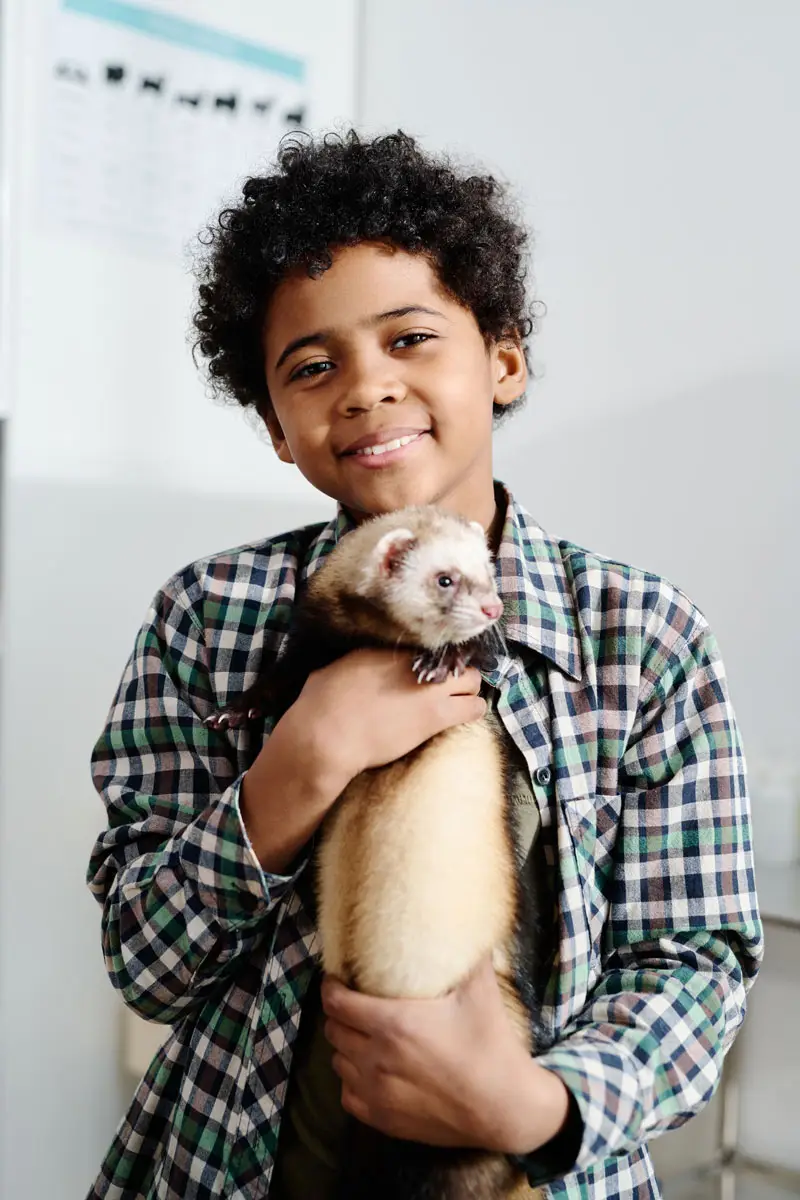 Garçon et son furet animal de compagnie | PITOU MINOU & COMPAGNONS