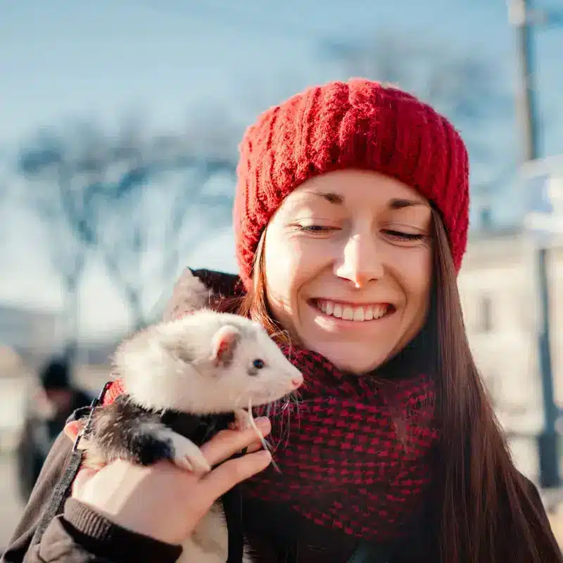 Dame et son furet animal de compagnie | PITOU MINOU & COMPAGNONS