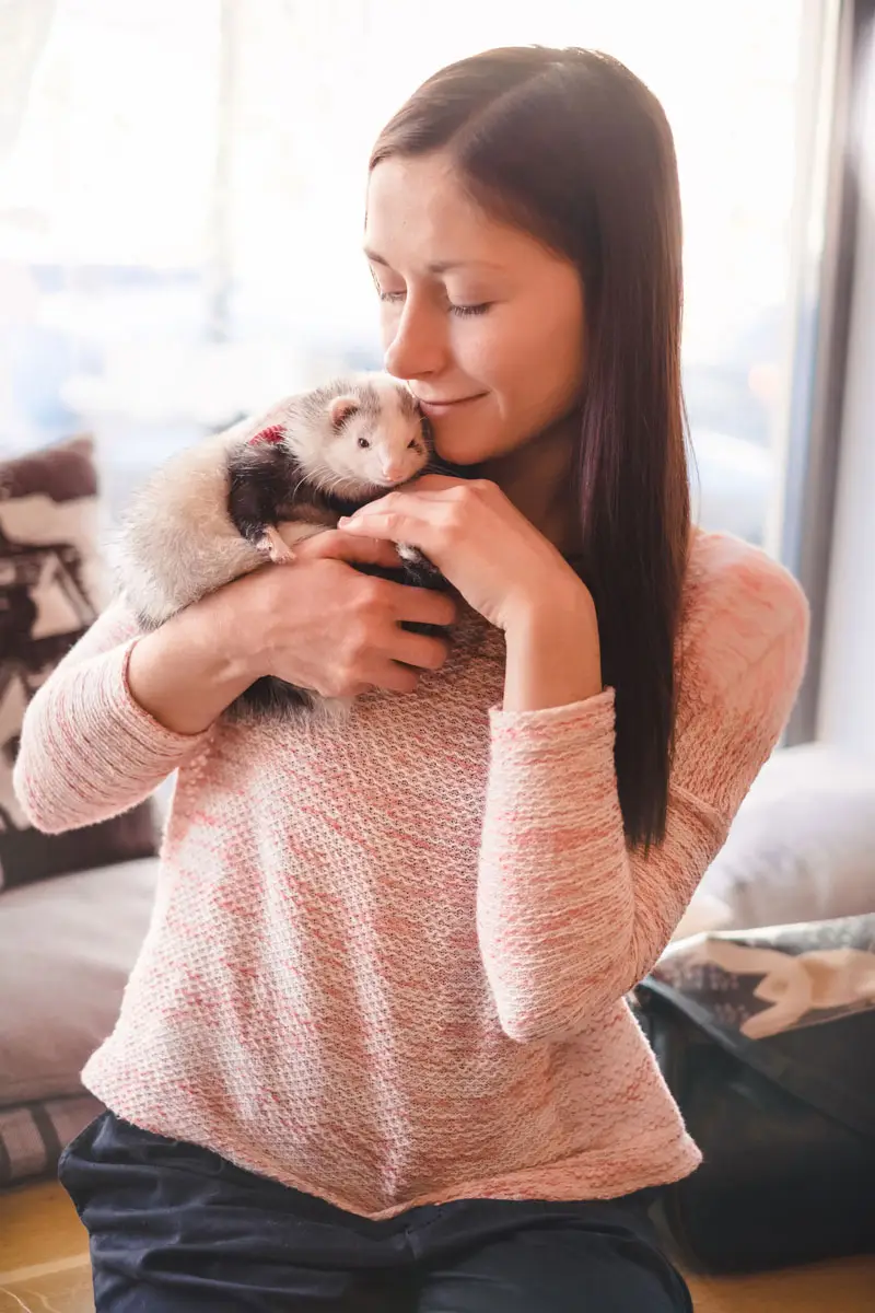 Dame et son furet animal de compagnie | PITOU MINOU & COMPAGNONS