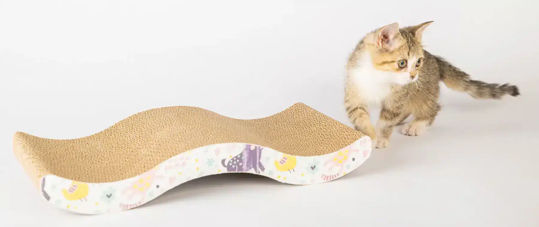 Griffoir pour chat | Pitou Minou et Compagnons