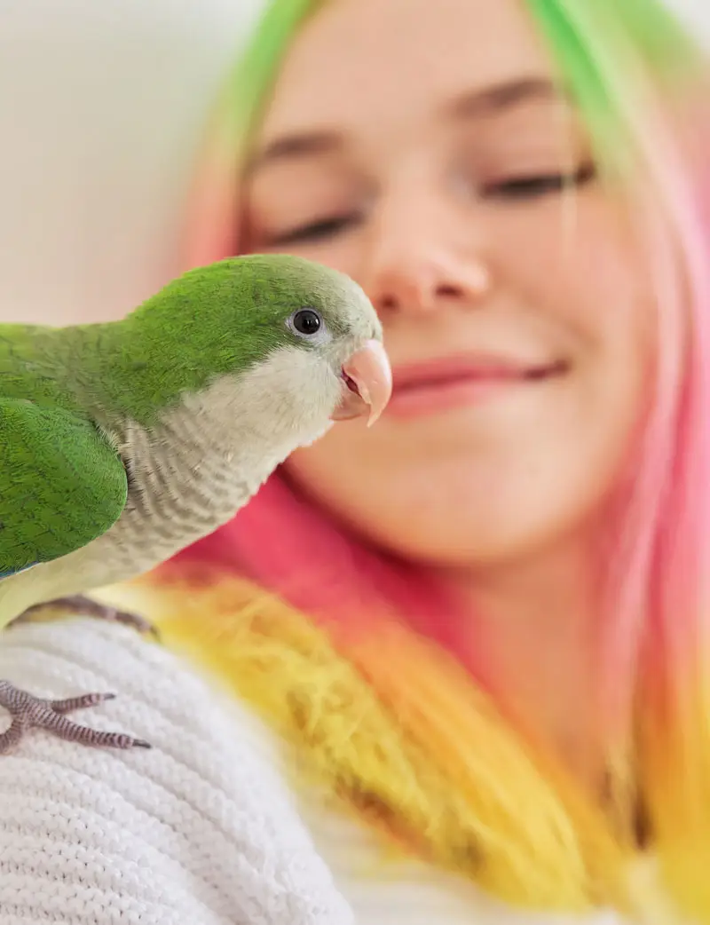 Fille avec son oiseau de compagnie | Pitou Minou et Compagnons