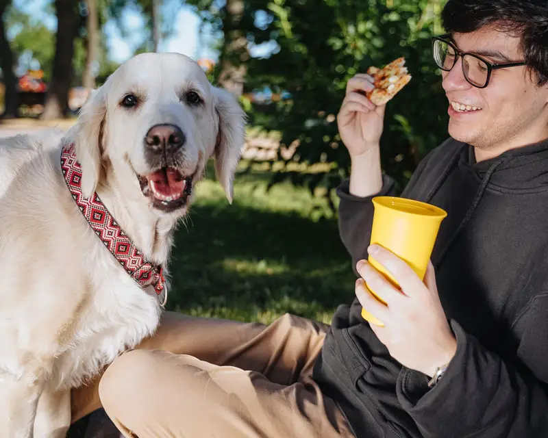 Chien avec son maître | Oven-Baked Tradition