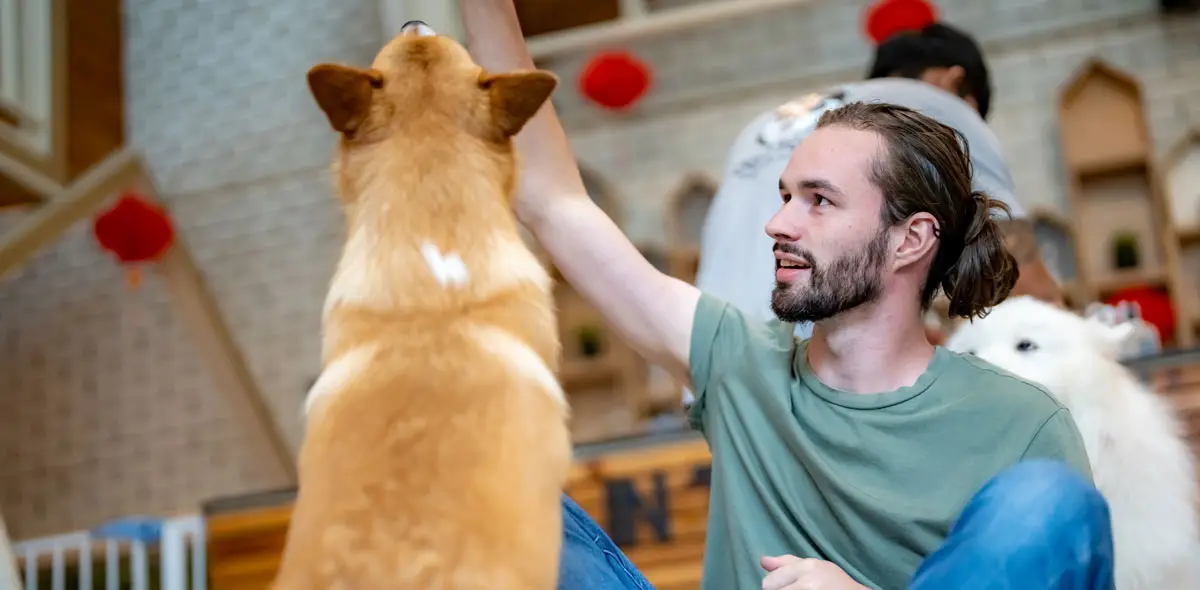Example de stimulation mentale chien et jeune homme | Pitou Minou & Compagnons