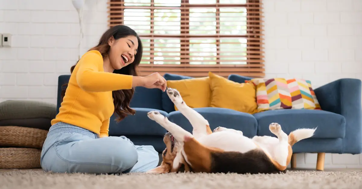 Example de stimulation mentale chien et jeune femme | Pitou Minou & Compagnons