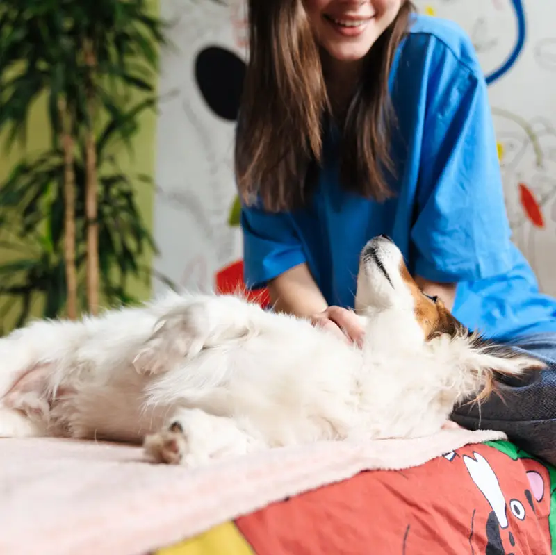 fille effectuant massage canin | Pitou Minou & Compagnons