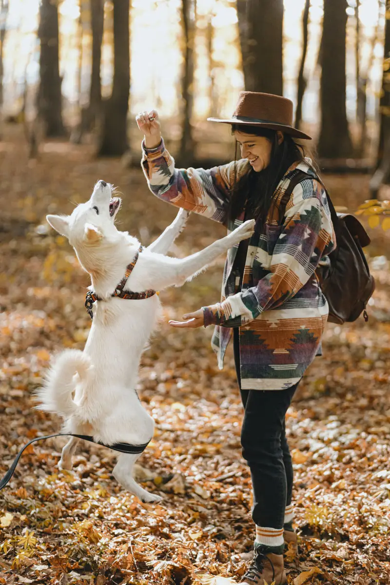 Example de stimulation mentale chien et jeune femme | Pitou Minou & Compagnons