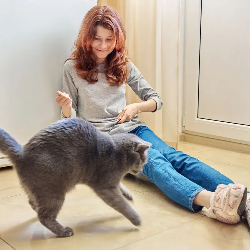Example de stimulation mentale chien et chat et jeune fille | Pitou Minou & Compagnons