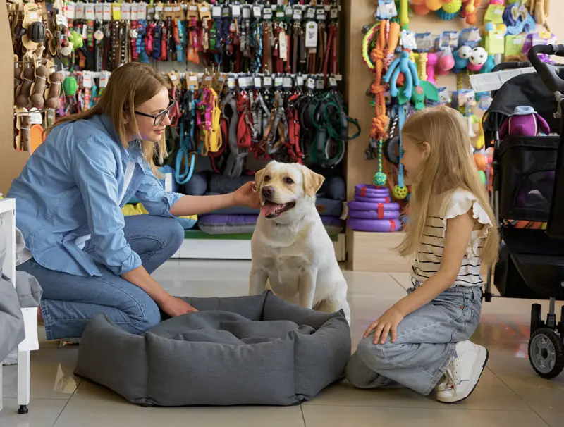 Parent et enfant qui bénéficient du programme de fidélité | Pitou Minou et Compagnons