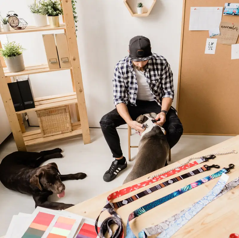 Fabricant de colliers pour boutique d'animaux | Pitou Minou & Compagnons