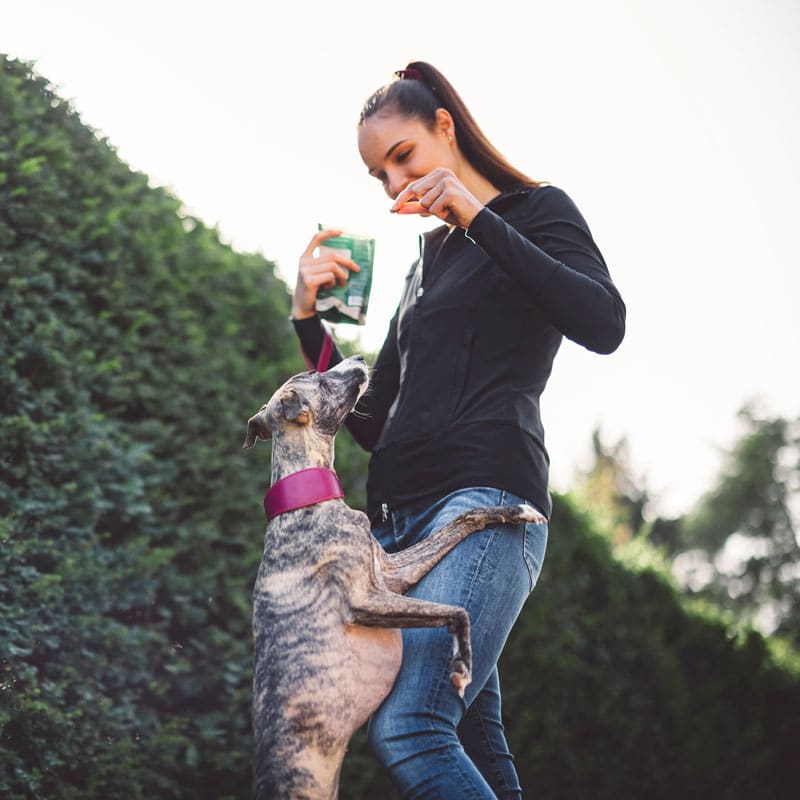 Exemple de dame et chien afin de démontrer d'acheter votre nourriture animal en boutique | Pitou Minou & Compagnons