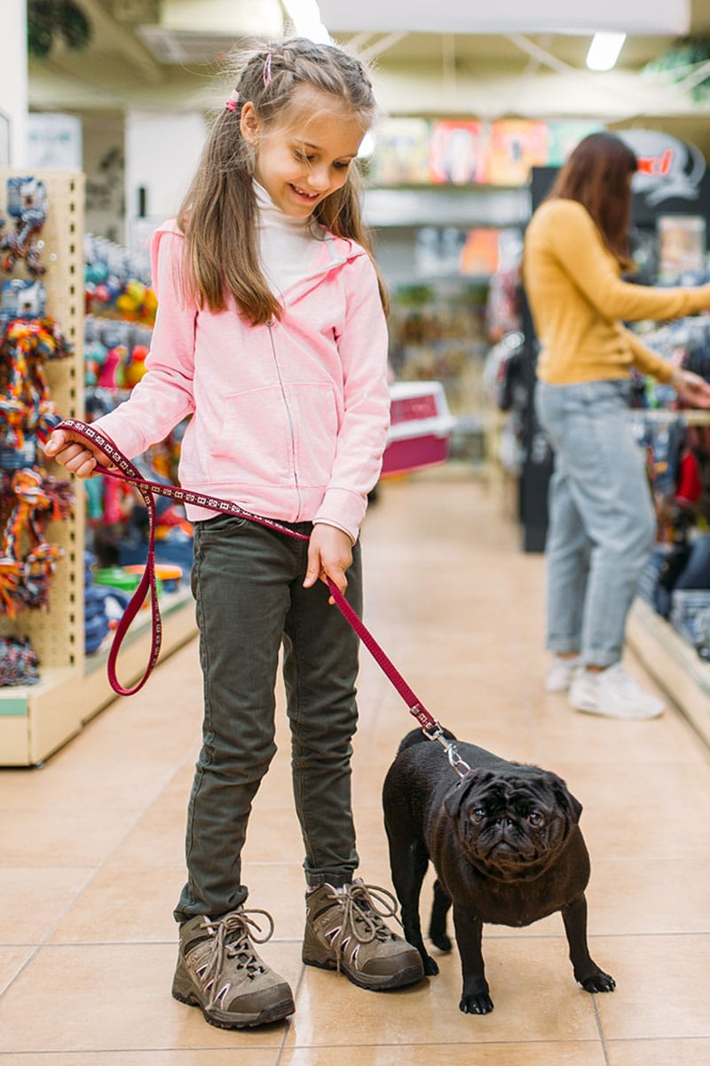 Fille et chien en visuel afin d'acheter votre nourriture animal en boutique | Pitou Minou & Compagnons