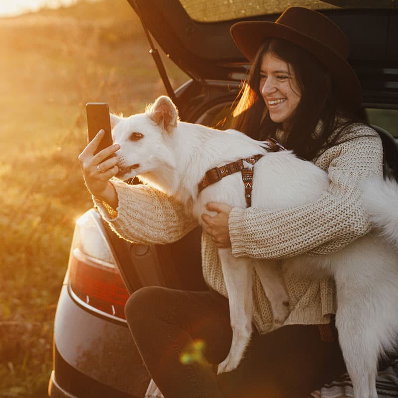 Exemple de comment voyager avec son chien au Québec | Pitou Minou & Compagnons