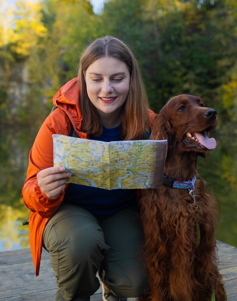 Exemple de comment voyager avec son chien au Québec | Pitou Minou & Compagnons
