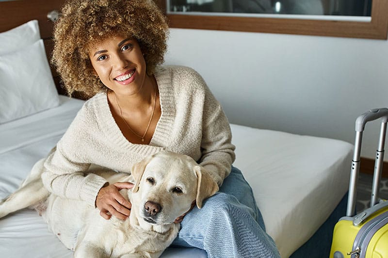 Exemple de comment voyager avec son chien au Québec | Pitou Minou & Compagnons