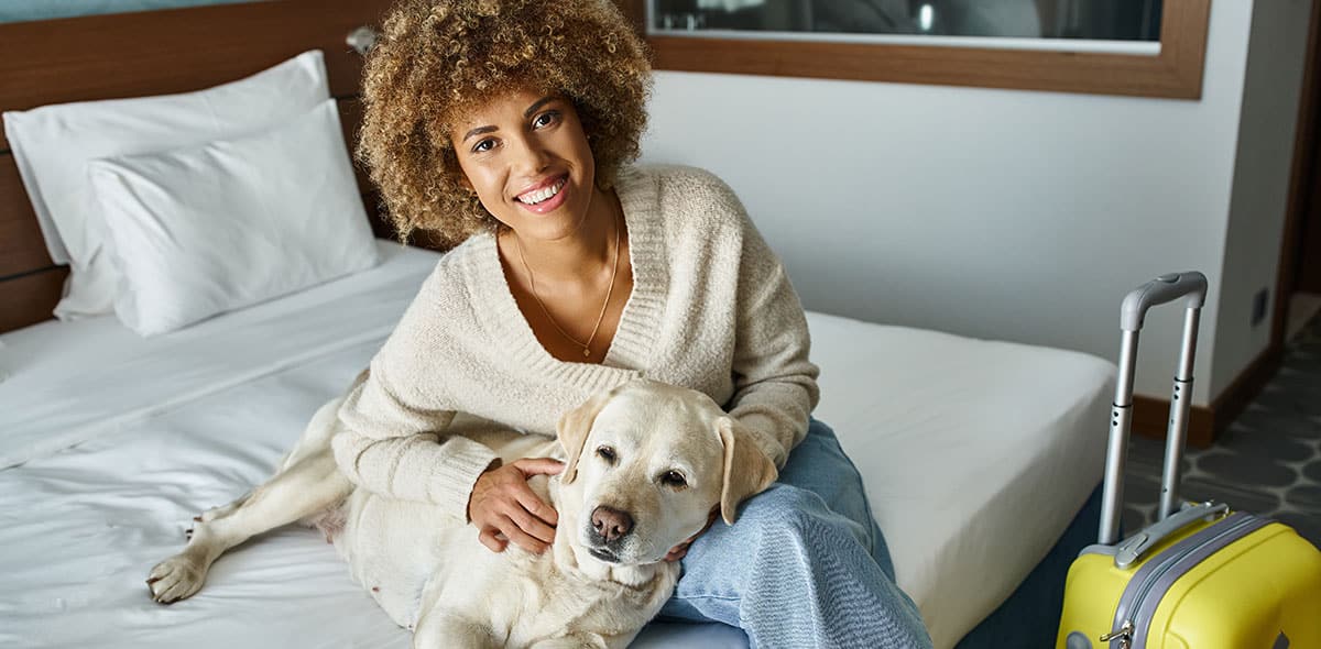 Exemple de comment voyager avec son chien au Québec | Pitou Minou & Compagnons