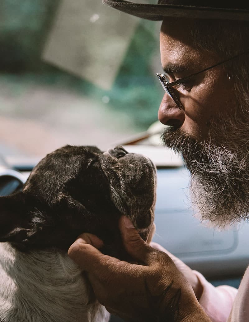 Anxiété de votre chien en voiture | Pitou Minou & Compagnons
