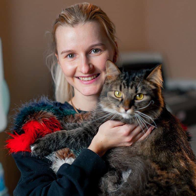 Chat obèse | Pitou Minou & Compagnons