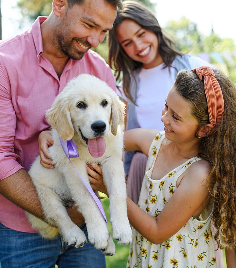 Abandon animal, famille en processus d'adoption | Pitou Minou & Compagnons