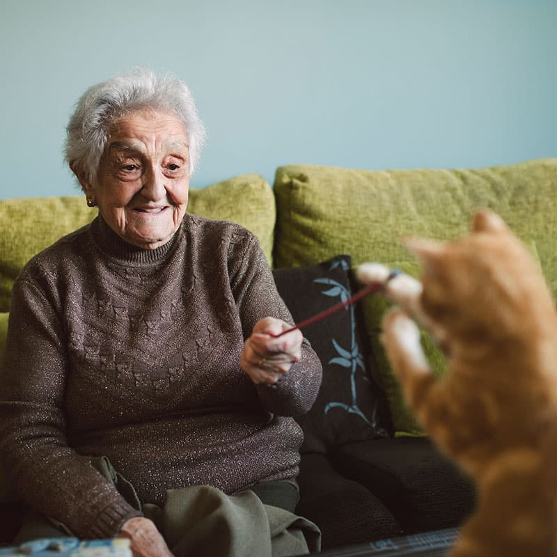 Abandon animal par vielle dame | Pitou Minou & Compagnons