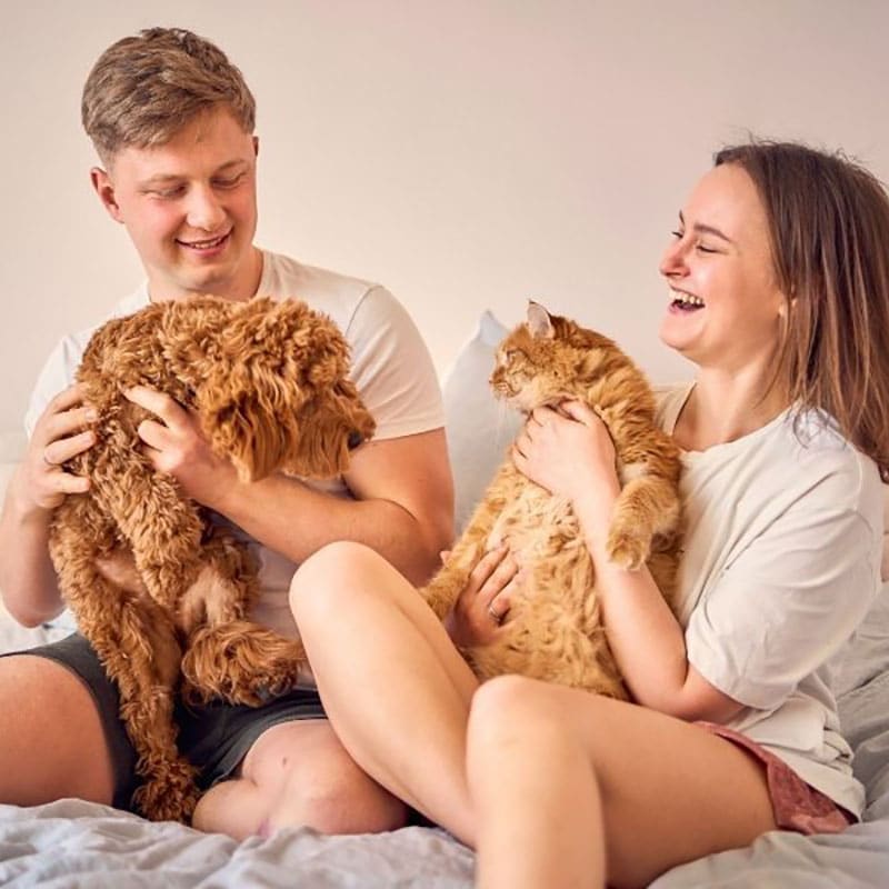 Chiens ou chats, voilà la question! | Pitou Minou & Compagnons